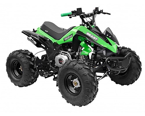 Quad Bike